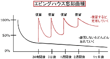 エビングハウスの忘却曲線の復習で記憶が定着している情報の図解化の画像